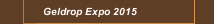 Geldrop Expo 2015